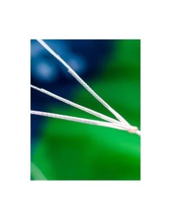 PETER LYNN HYPE TR -Magasin De Kitesurf peter lynn hype tr 5